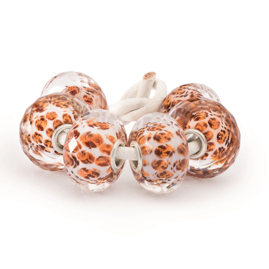 Set Macchie Leopardo