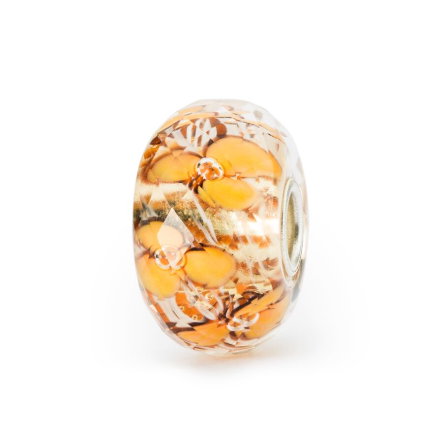 Fiori d'Arancio