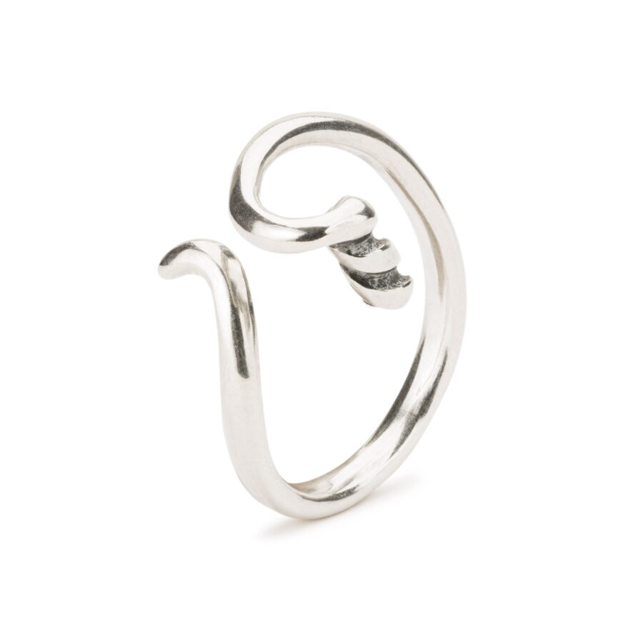 Anello Fantasia - Mis. 11-12 / Mis. 51-52