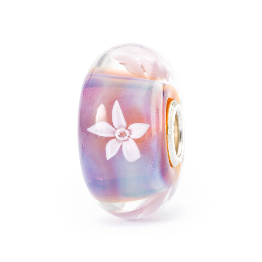 Anemone di Mare